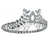 diadema_small_i.jpg