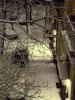 snow.jpg