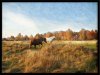 DSCN0534_risynok_ramka.jpg