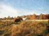 DSCN0534_risynok_5.jpg