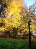 DSCN0489.jpg