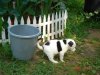 DSC006461.jpg