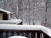 snow2.jpg