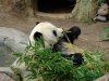 DSC01951.jpg