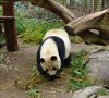 DSC01974.jpg