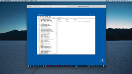 Screenshot 2023-10-17 at 15.21.46.png