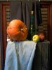 P105065700-oil.jpg
