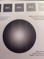 IMG_5367.jpeg