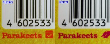 Flexo + Roto.jpg