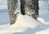 Snow_3_Large.jpg