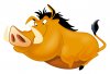 pig2.jpg