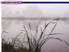 fog.jpg