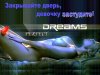 dreams_!_1.jpg