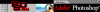 anatomiapsd2.gif