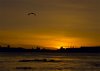 DSC_0151-01.jpg