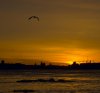 DSC_0151-01_Shadrin.jpg