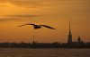 DSC_0021-01.jpg