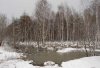 DSC_2845_Апрель.jpg