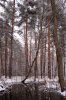 DSC_2864-Тишина2.jpg