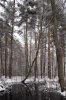 DSC_2864-Тишина2_Shadrin.jpg