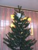 DSCF3254.JPG
