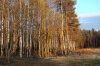 DSC_2885_вечер3.jpg