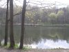 P5010104.jpg