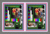 Exper.gif