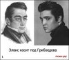 elvisgrib.jpg