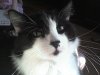 DSC00059.JPG