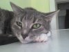 DSC00062.JPG