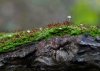 _MG_5957.jpg