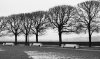 Untitled-16.jpg