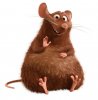 rat.jpg