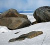 April_2008_005.jpg
