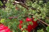 100_1520.jpg
