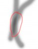 sample.jpg