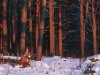 Untitled-1.jpg