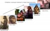 evolution_02.jpg