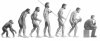 evolution_04.jpg