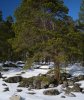 April_2009_02_end.jpg