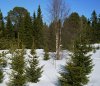 April_2009_05_end.jpg