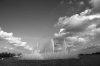 _MG_5924.jpg