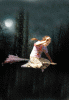 bg1.gif