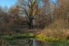 herbst2009_3.jpg