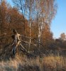 herbst2009_4.jpg