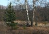 herbst2009_2.jpg