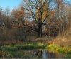 herbst2009_3_shadrin.jpg