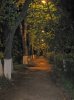 alley..jpg