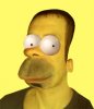 S2.jpg